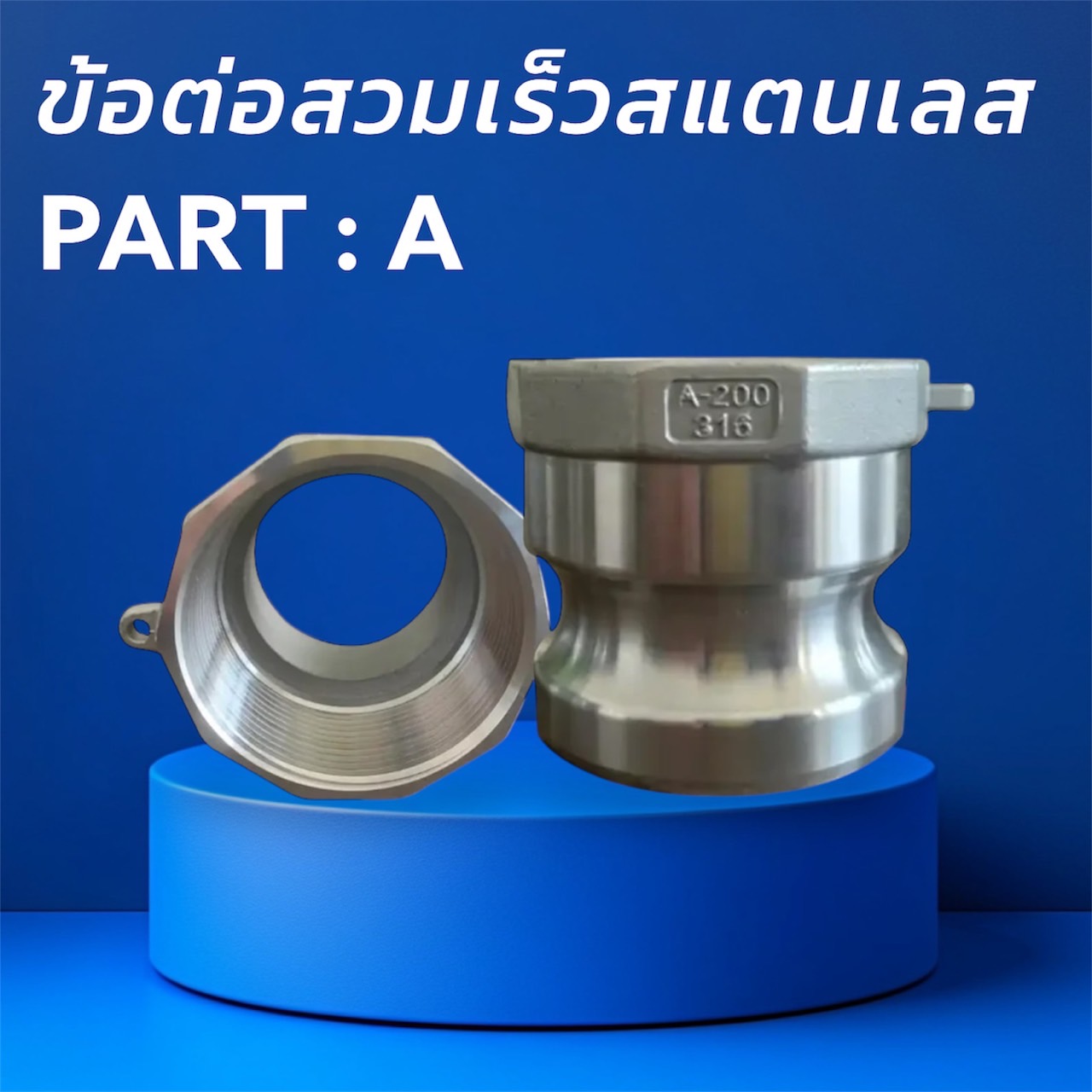 S__44736521