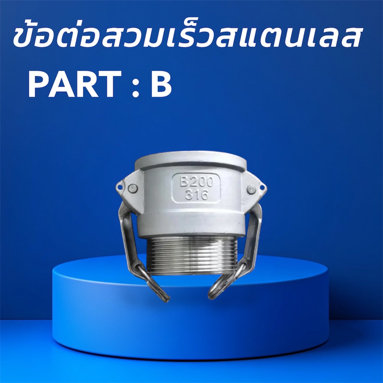 S__44736528